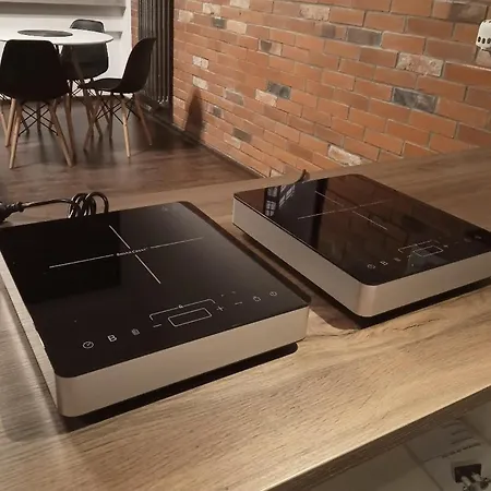 Loft 314 Apartment Zyrardow