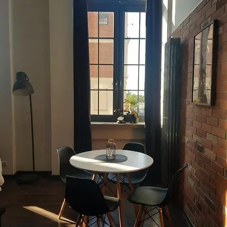 Loft 314 公寓 日拉尔杜夫