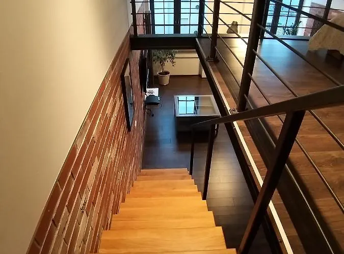 Loft 314 Apartment Zyrardow